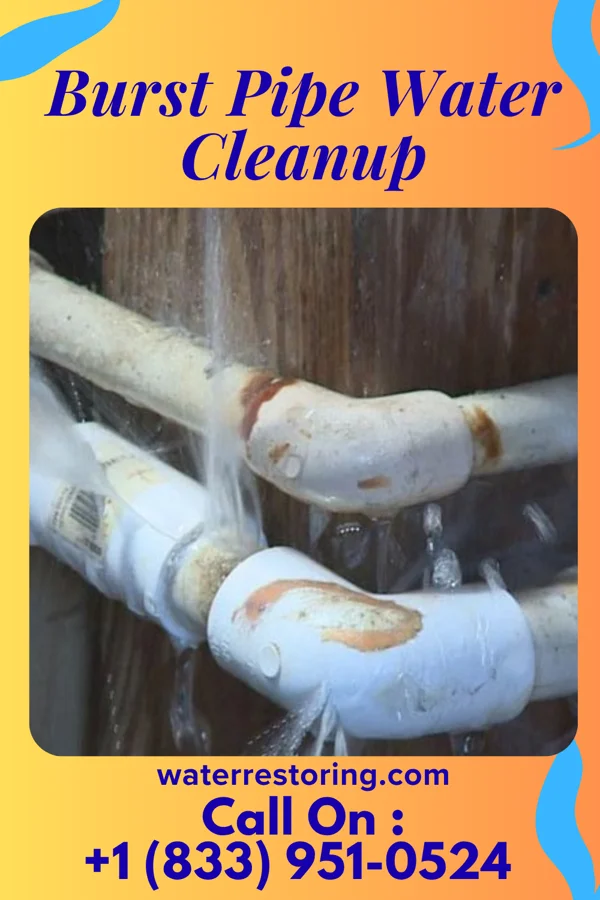 Burst Pipe Water Cleanup in Unionville, IA