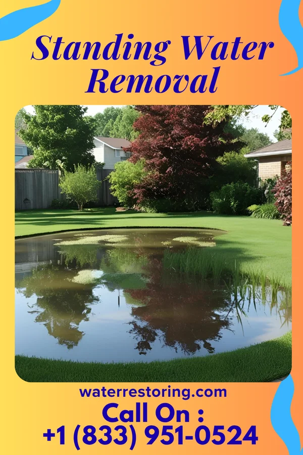 Standing Water Removal in Unionville, IA